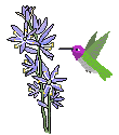 an animated, hovering pixel hummingbird visiting pixel sprite camas