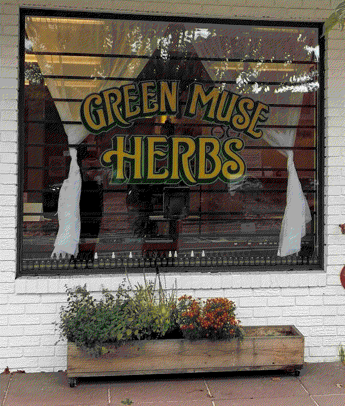 a window with 'Green Muse Herbs' written out in stylistic yellow and green lettering, and an array of tinctures in brown bottles along the windowsill. a planter box sits below.
